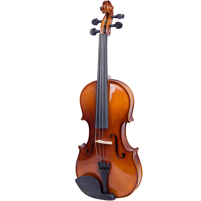 梵巢成人学生儿童考级实木初学小提琴